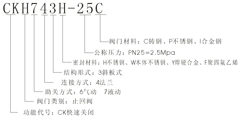 液动式快速关闭止回阀(图2)