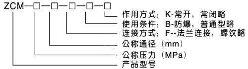 ZCM煤气电磁阀(图2)