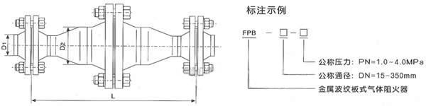 FPB天然气阻火器(图2)