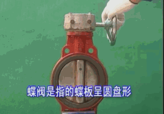 对夹式蝶阀尺寸_蝶阀法兰尺寸_蝶阀尺寸