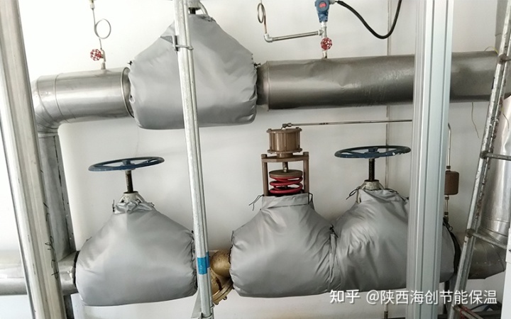 给夹箭君子兰套黑袋图_夹芯片票套_夹套球阀